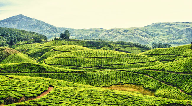 Darjeeling